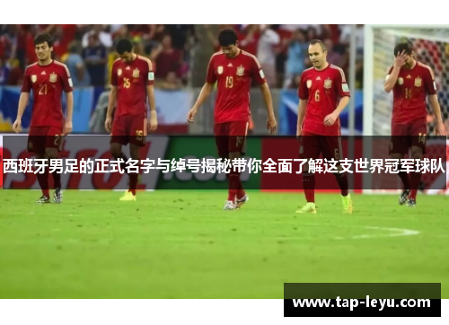 西班牙男足的正式名字与绰号揭秘带你全面了解这支世界冠军球队 西班牙男足的正式名字与绰号揭秘带你全面了解这支世界冠军球队