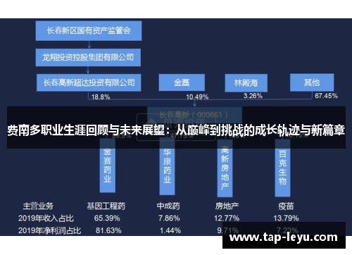 费南多职业生涯回顾与未来展望：从巅峰到挑战的成长轨迹与新篇章