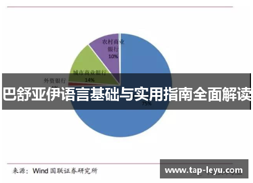 巴舒亚伊语言基础与实用指南全面解读