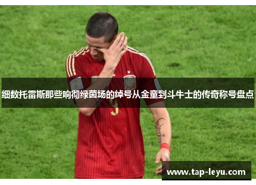 细数托雷斯那些响彻绿茵场的绰号从金童到斗牛士的传奇称号盘点 细数托雷斯那些响彻绿茵场的绰号从金童到斗牛士的传奇称号盘点