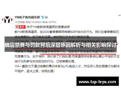 魏震禁赛与罚款背后深层原因解析与相关影响探讨