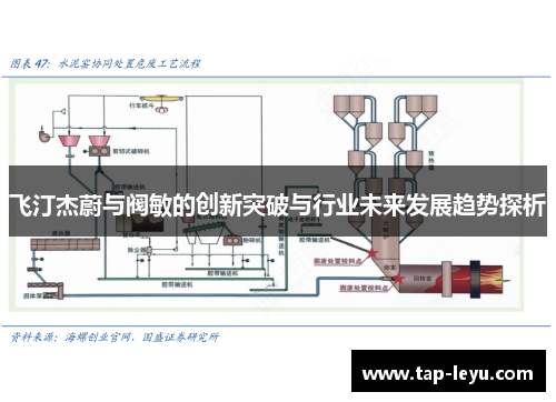 飞汀杰蔚与阀敏的创新突破与行业未来发展趋势探析